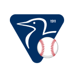 Coniston at Fenway! - logo